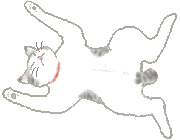 04.gif